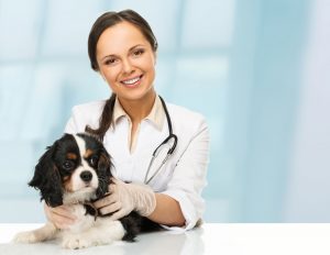 female veterinarian with dog